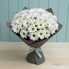 Букет цветов из:  Хризантемы в Ермишь